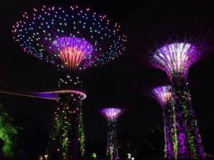 Prancing solo in Singapore
