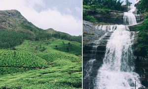 Here's How You Can Explore the Magical Munnar in Under 48 Hours