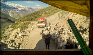 Hitchhiking through Ladakh, a traveler's paradise