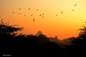 Exploring the layers of Delhi’s history – Mehrauli Archaeological Park