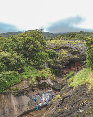 Sanjay Gandhi National Park Mumbai Maharashtra Best Time To Visit Tripoto Where to buy national park permits? sanjay gandhi national park mumbai