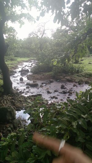 Monsoon trekking to Lohagad & Kune Falls- Clouds, mountains & raindrops