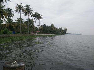 Kumarakom Bird Sanctuary 1/4 by Tripoto