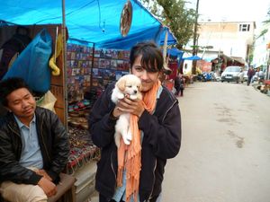 Finally , Mcleodganj