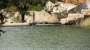 Ranthambhore National Park