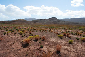 The Roads Less Travelled in Morocco