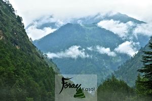 Foray Kasol