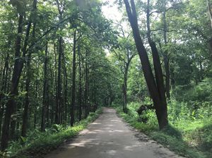 In to the Western Ghats: Munnar, Ooty, Coorg and Chikamagalur
