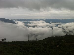 A cuppa of Darjeeling tea in the monsoons