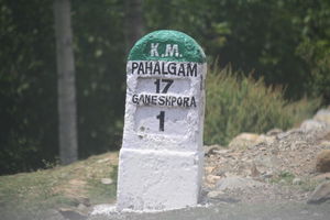 Picture Perfect Pahalgam