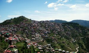 5 Reasons Why Sanjauli is the Milan of Shimla