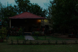 Ranthambore Weekend (Always my favorite)