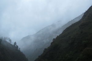 Trippy trip to Kasol