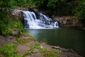 Vansda National Park 1/1 by Tripoto