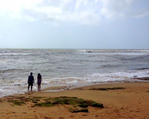 Goa in the greens