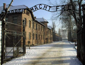 This Wasn't Easy : Auschwitz-Birkenau