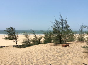 On the beaches of Arabian Sea – April & Me