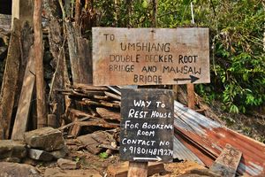 Jingmaham Living Root Bridge 1/37 by Tripoto