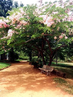 Auroville – Live a little