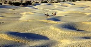 Footsteps in the golden city - Jaisalmer