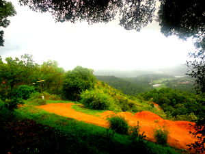 How I made most out of 24 hours in Coorg!