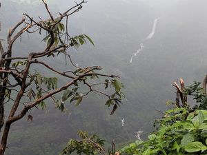A walk through the Khandala ghats