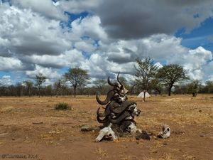 Camping Under African Skies