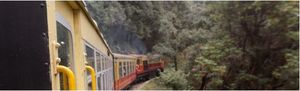 For The Love of Travel - Manali