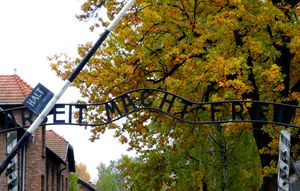 When History Breaks Your Heart : Auschwitz-Birkenau