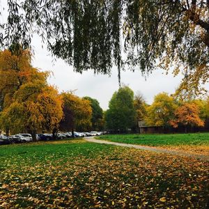 I Found Love In A Hopeless Place : Krakow, Poland (Part 2)
