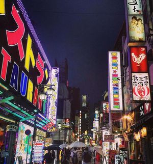 An Indian Girl's Guide To Travelling In Japan