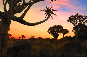 15 Places In The World Where You Can Truly Get Away From The Internet