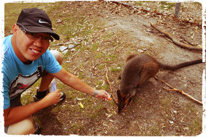 Australia : A Slice of History and Nature