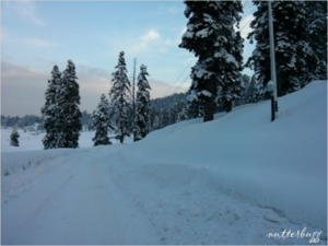 Heaven on earth – Skiing in Gulmarg, Kashmir
