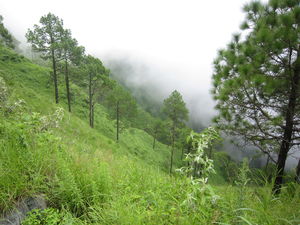 5 Indian Summer Destinations
