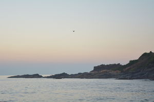 Hopping by the beaches on a soothing evening