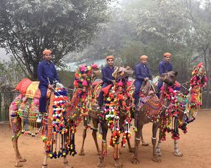These village resorts near Delhi are perfect for your next family picnic