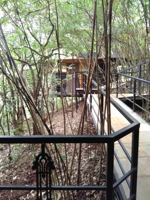 Treehouse Getaway Out of Mumbai: A Hop, Skip & Jump Away!