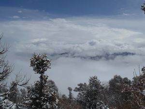 Found a Soul-Lost a Part in Dayara Bugyal