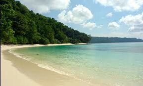 The Exotic Andamans - A Trip in which I truly discovered Nature #lifechangingtrip #nature