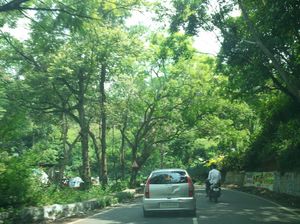 Escape for a day to Queen of Hills: Ooty
