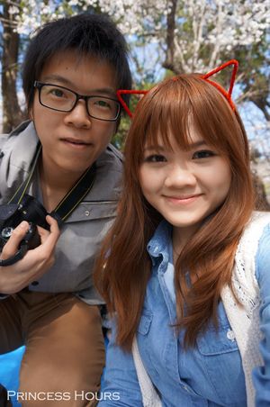 Sakura Viewing at Ueno Park