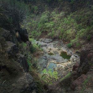 Patalpani Waterfall 1/36 by Tripoto