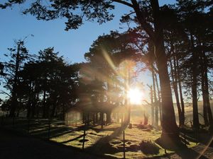 Horton Plains 1/13 by Tripoto