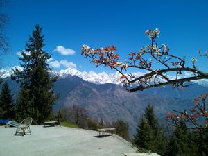 Munsiyari: Inclusive Rural Tourism