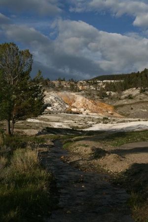 Yellowstone 1/1 by Tripoto