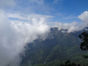 Celestial peace in Coonoor