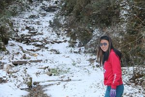 Bhutan: Phuentsholing - Thimphu - Paro