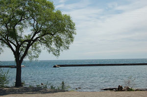 Lakeshore Boulevard East 1/1 by Tripoto