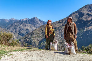 Kedarkantha Trek